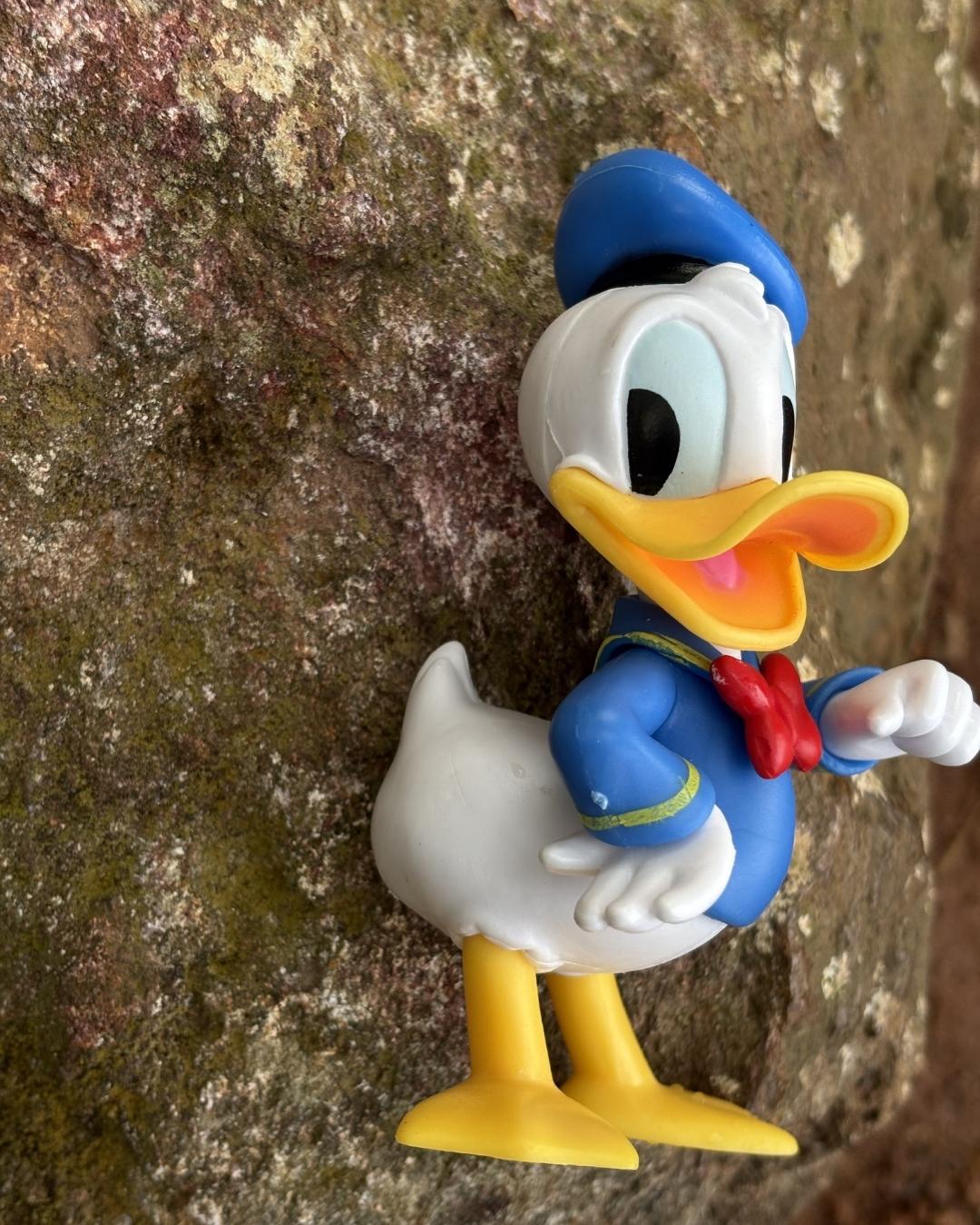 auto draft auto draft