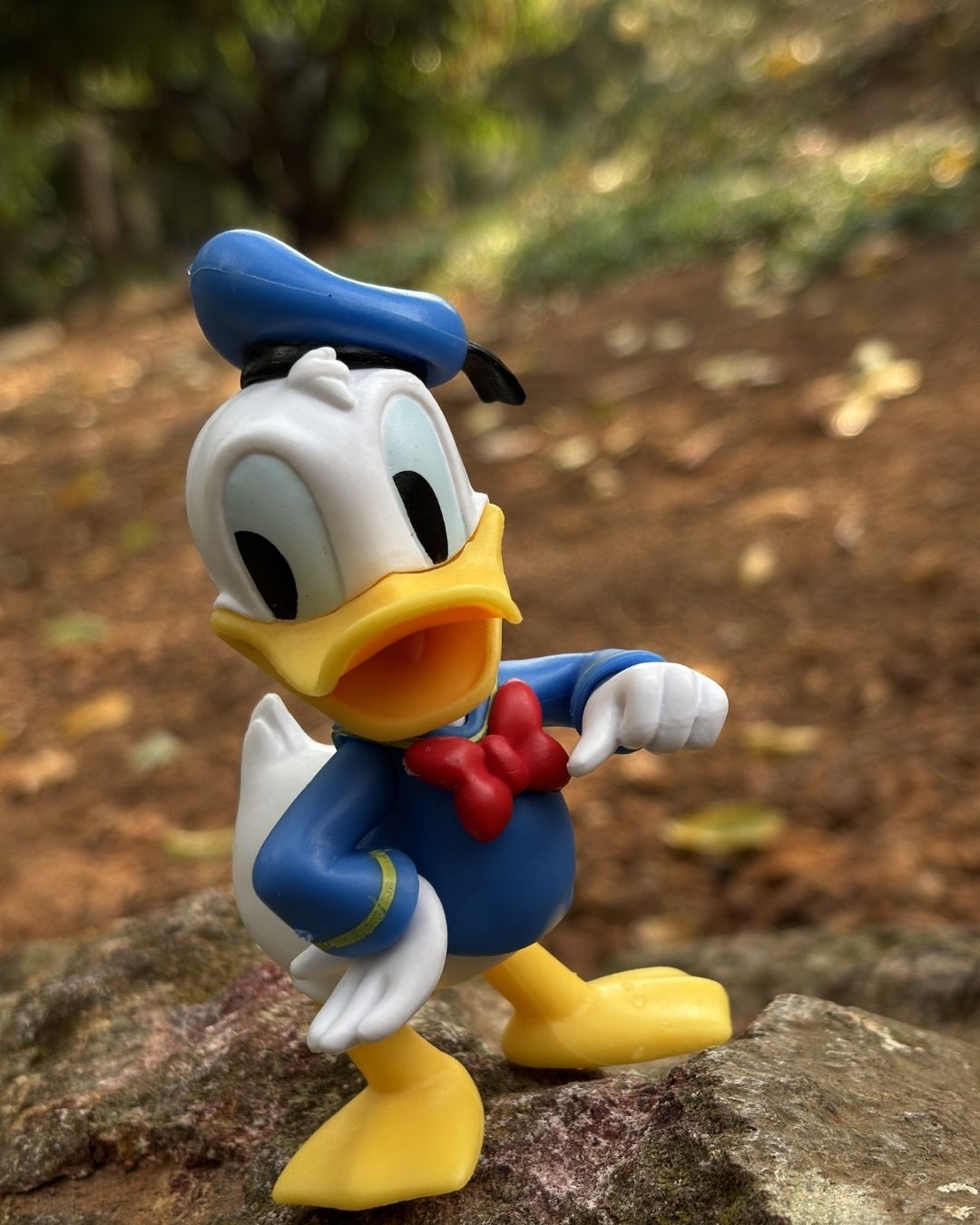 auto draft auto draft